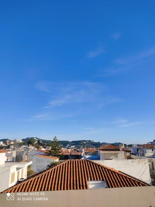 Bozikis House! A Cosy Apartment In The City Centre Skiathos Town Exterior photo